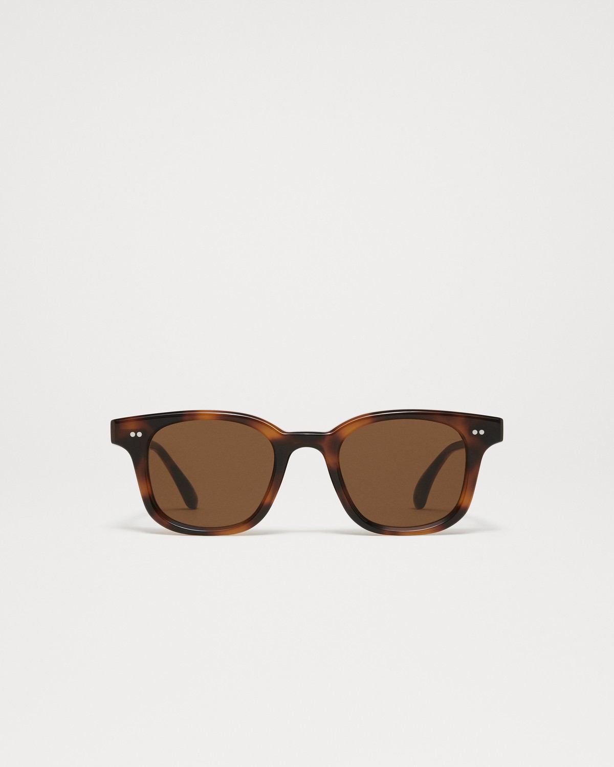 Chimi 02 Tortoise In Tortoise