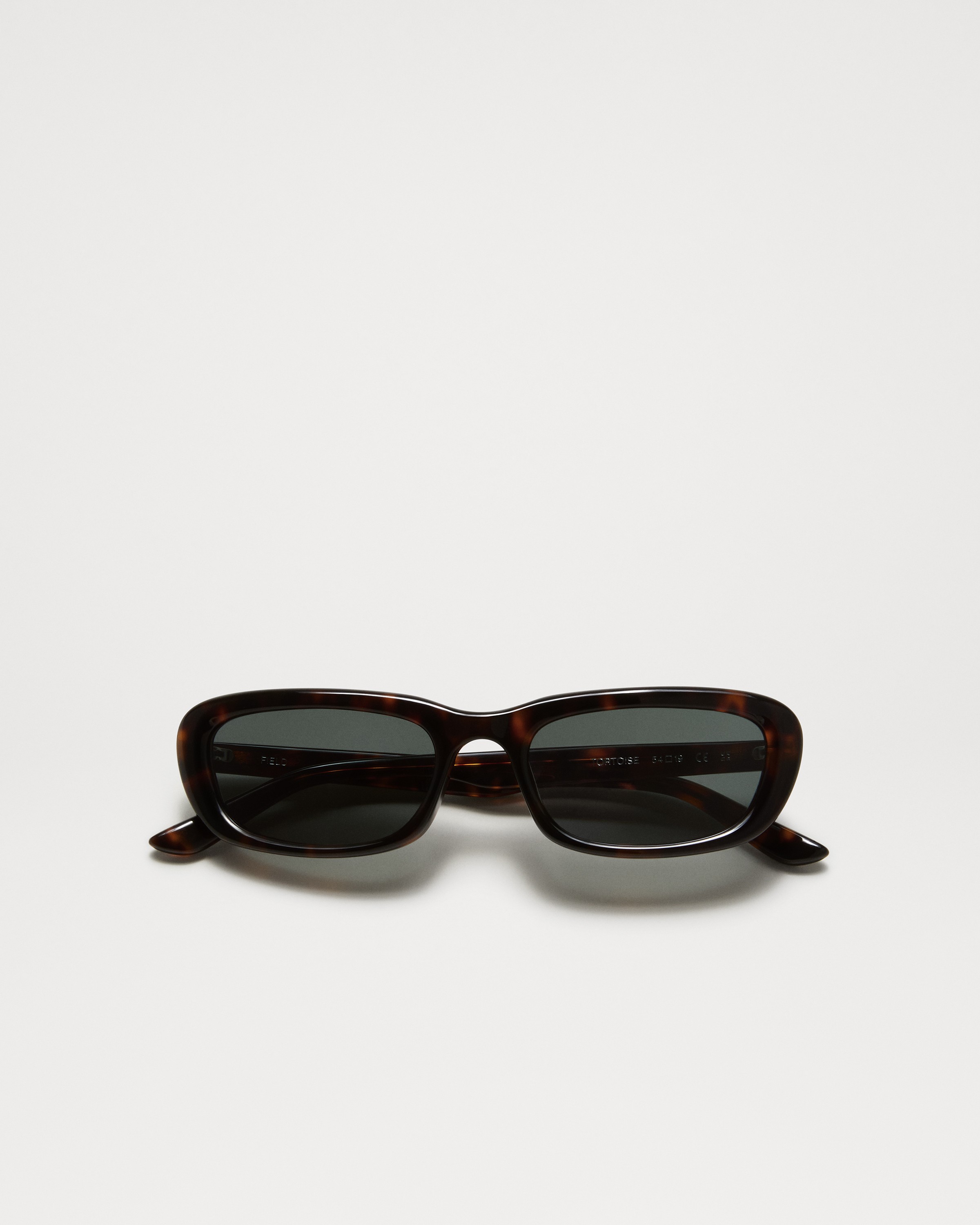 Chimiさま 839_9acb384c2c-lab-05-tortoise